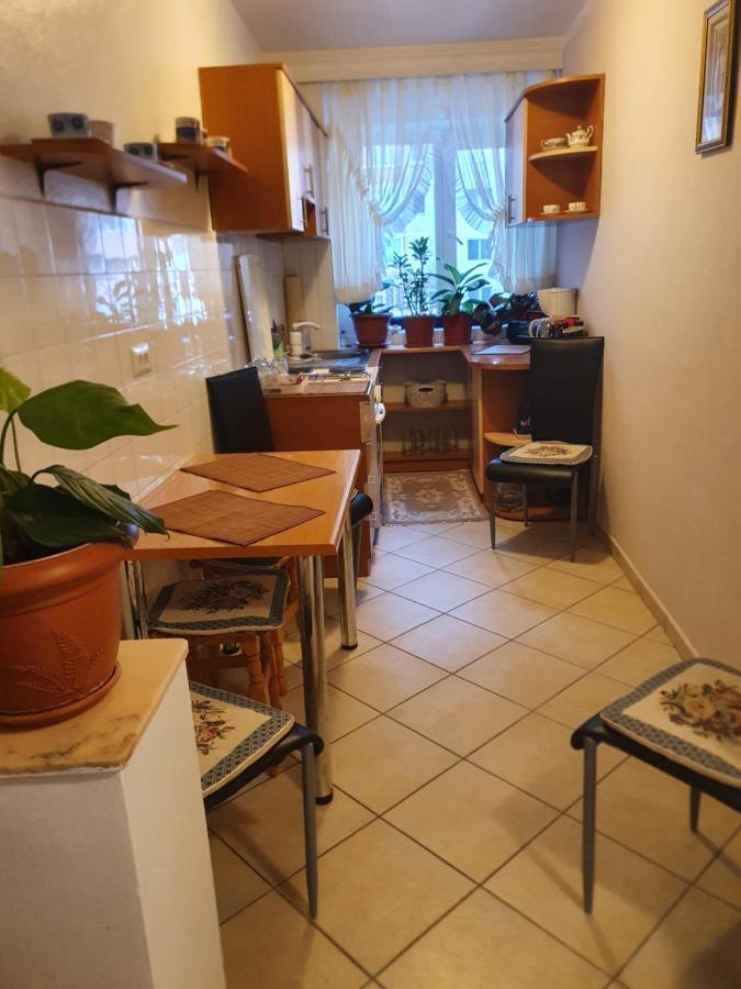 Apartament Cu Trei Camere Băile Herculane Zewnętrze zdjęcie