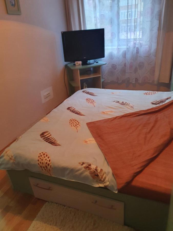 Apartament Cu Trei Camere Băile Herculane Zewnętrze zdjęcie